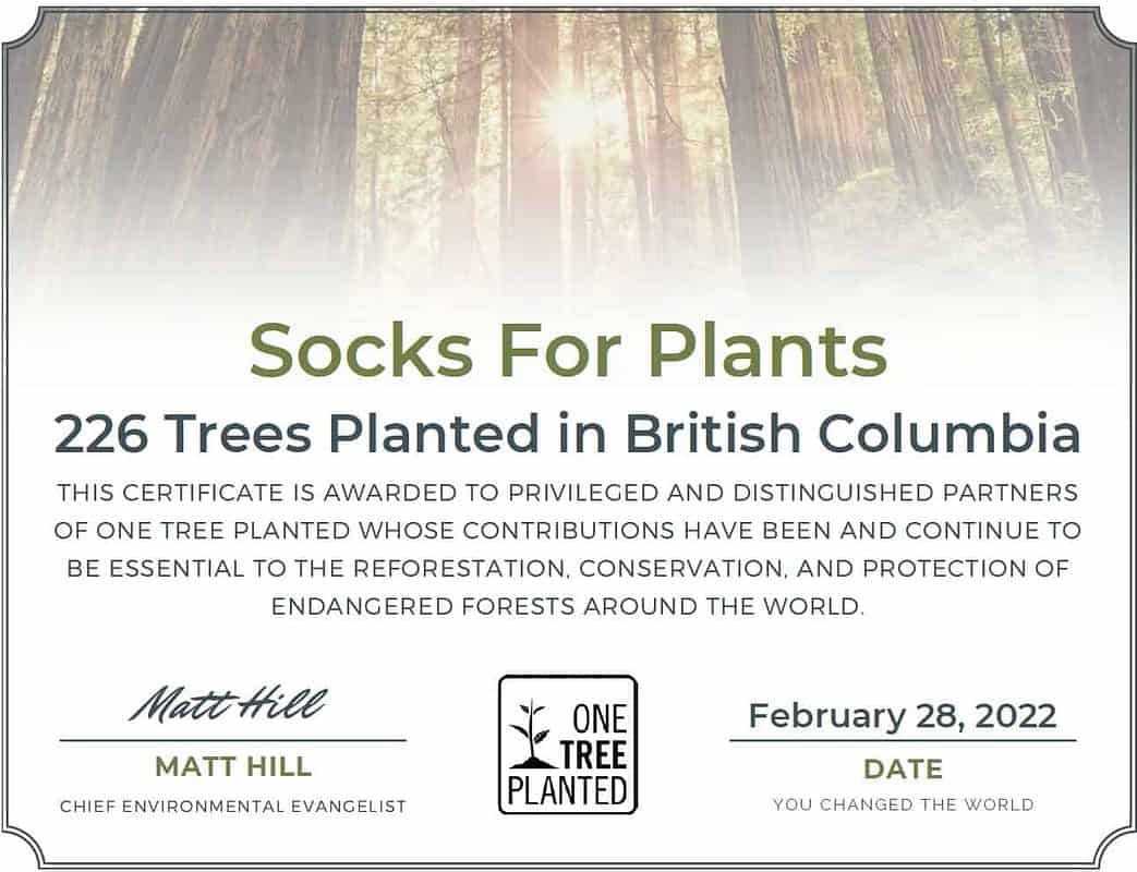 Socks For Plants nachhaltige Socken